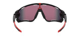 OAKLEY LENSES - Jawbreaker™ 0OO9290