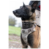 5.11 - ROVR DOG COLLAR
