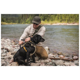 PECHERA 5.11 - ROVR DOG HARNESS