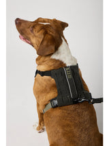 5.11 - Mission Ready™ Dog Harness 2.0