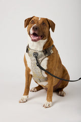 5.11 - Mission Ready™ Dog Harness 2.0