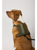 5.11 - Mission Ready™ Dog Harness 2.0