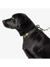 5.11 - Mission Ready™ Dog Collar 2.0