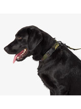 5.11 - Mission Ready™ Dog Collar 2.0