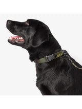 5.11 - Mission Ready™ Dog Collar 2.0