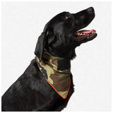 BANDANA 5.11 - MISSION RDY DOG BANDANA