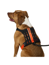 5.11 - Mission Ready™ Dog Harness 2.0