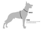 5.11 - ROVR DOG COLLAR